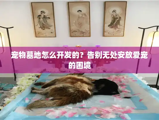 宠物墓地怎么开发的?告别无处安放爱宠的困境 宠物墓地怎么开发的?告别无处安放爱宠的困境