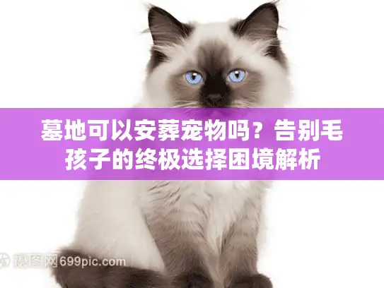 墓地可以安葬宠物吗？告别毛孩子的终极选择困境解析