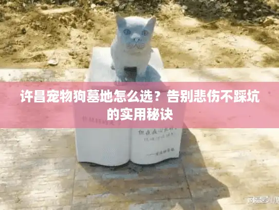 许昌宠物狗墓地怎么选?告别悲伤不踩坑的实用秘诀 许昌宠物狗墓地怎么选?告别悲伤不踩坑的实用秘诀