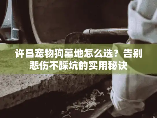 许昌宠物狗墓地怎么选?告别悲伤不踩坑的实用秘诀 许昌宠物狗墓地怎么选?告别悲伤不踩坑的实用秘诀