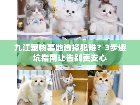 九江宠物墓地选择犯难？3步避坑指南让告别更安心