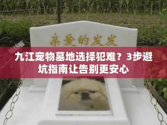 九江宠物墓地选择犯难？3步避坑指南让告别更安心