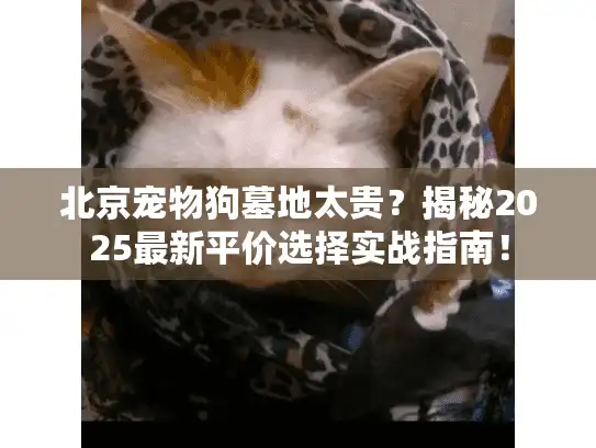 北京宠物狗墓地太贵?揭秘2025最新平价选择实战指南! 北京宠物狗墓地太贵?揭秘2025最新平价选择实战指南!