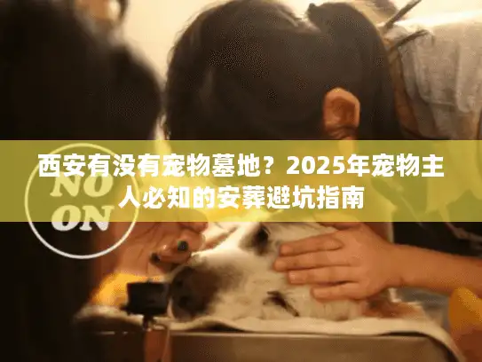 西安有没有宠物墓地？2025年宠物主人必知的安葬避坑指南