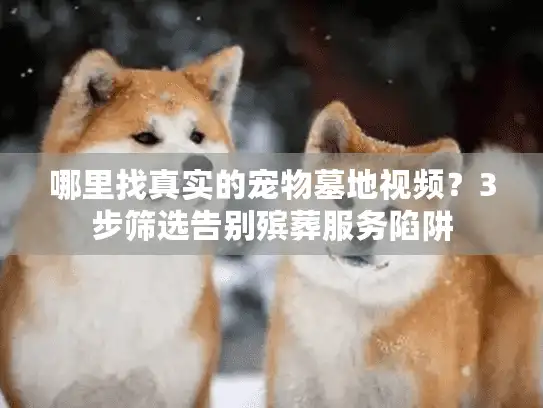 哪里找真实的宠物墓地视频?3步筛选告别殡葬服务陷阱 哪里找真实的宠物墓地视频?3步筛选告别殡葬服务陷阱