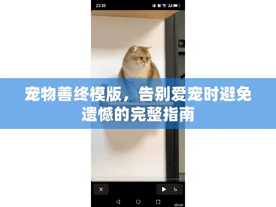 宠物善终模版，告别爱宠时避免遗憾的完整指南