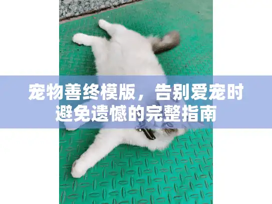 宠物善终模版，告别爱宠时避免遗憾的完整指南