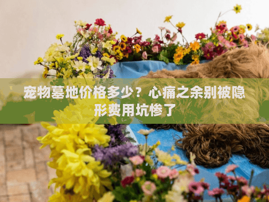 宠物墓地价格多少?心痛之余别被隐形费用坑惨了 宠物墓地价格多少?心痛之余别被隐形费用坑惨了