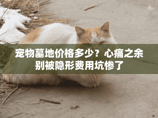 宠物墓地价格多少?心痛之余别被隐形费用坑惨了 宠物墓地价格多少?心痛之余别被隐形费用坑惨了