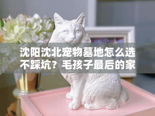 沈阳沈北宠物墓地怎么选不踩坑?毛孩子最后的家必看避雷点 沈阳沈北宠物墓地怎么选不踩坑?毛孩子最后的家必看避雷点