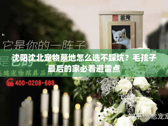 沈阳沈北宠物墓地怎么选不踩坑?毛孩子最后的家必看避雷点 沈阳沈北宠物墓地怎么选不踩坑?毛孩子最后的家必看避雷点