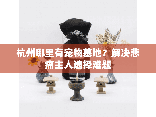 杭州哪里有宠物墓地？解决悲痛主人选择难题