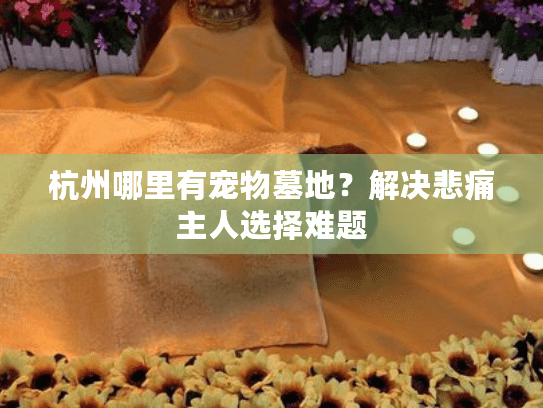 杭州哪里有宠物墓地？解决悲痛主人选择难题