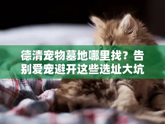 德清宠物墓地哪里找?告别爱宠避开这些选址大坑! 德清宠物墓地哪里找?告别爱宠避开这些选址大坑!