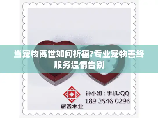 当宠物离世如何祈福?专业宠物善终服务温情告别