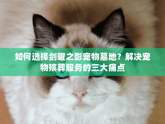 如何选择刽曜之影宠物墓地?解决宠物殡葬服务的三大痛点 如何选择刽曜之影宠物墓地?解决宠物殡葬服务的三大痛点
