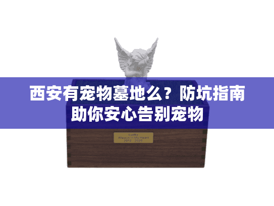 西安有宠物墓地么？防坑指南助你安心告别宠物