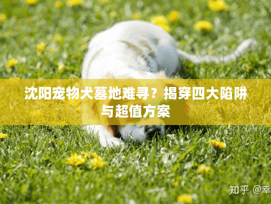 沈阳宠物犬墓地难寻？揭穿四大陷阱与超值方案