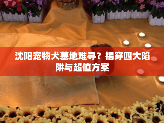 沈阳宠物犬墓地难寻？揭穿四大陷阱与超值方案