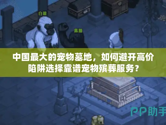 中国最大的宠物墓地，如何避开高价陷阱选择靠谱宠物殡葬服务？