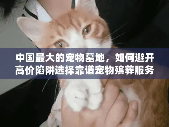 中国最大的宠物墓地，如何避开高价陷阱选择靠谱宠物殡葬服务？