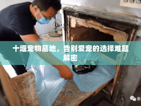 十堰宠物墓地，告别爱宠的选择难题解密