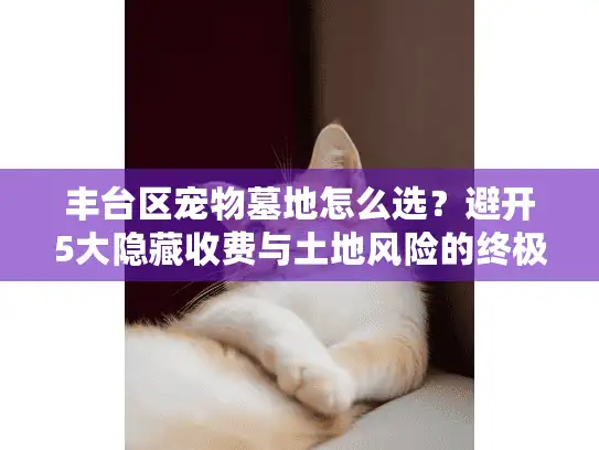 丰台区宠物墓地怎么选？避开5大隐藏收费与土地风险的终极指南