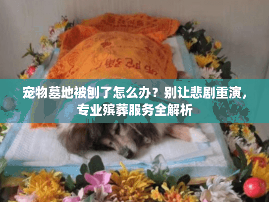 宠物墓地被刨了怎么办？别让悲剧重演，专业殡葬服务全解析