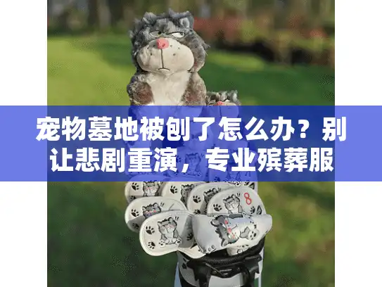 宠物墓地被刨了怎么办？别让悲剧重演，专业殡葬服务全解析