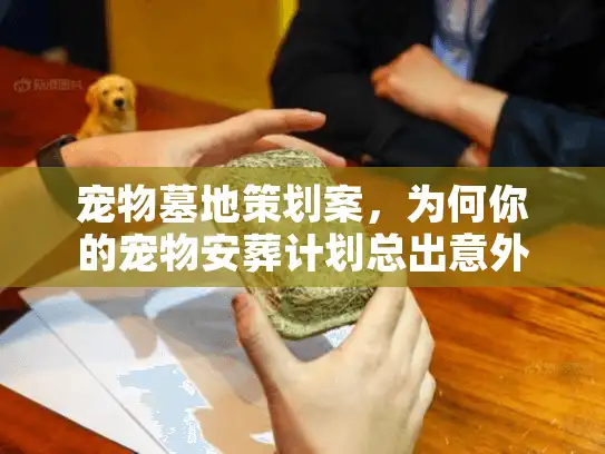 宠物墓地策划案，为何你的宠物安葬计划总出意外？