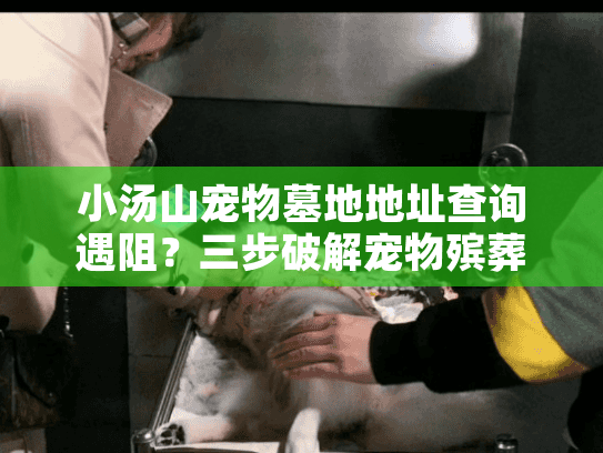 小汤山宠物墓地地址查询遇阻？三步破解宠物殡葬服务选择难题