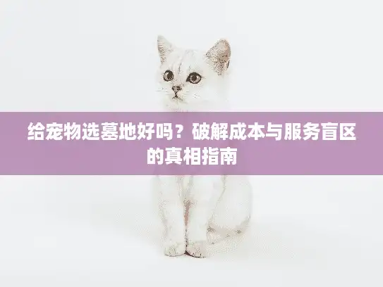 给宠物选墓地好吗?破解成本与服务盲区的真相指南 给宠物选墓地好吗?破解成本与服务盲区的真相指南