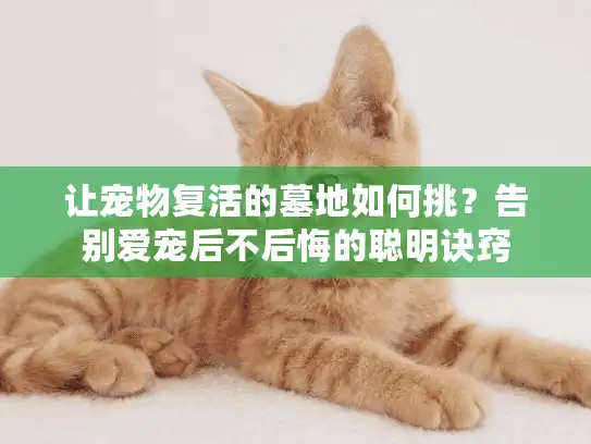 让宠物复活的墓地如何挑?告别爱宠后不后悔的聪明诀窍 让宠物复活的墓地如何挑?告别爱宠后不后悔的聪明诀窍