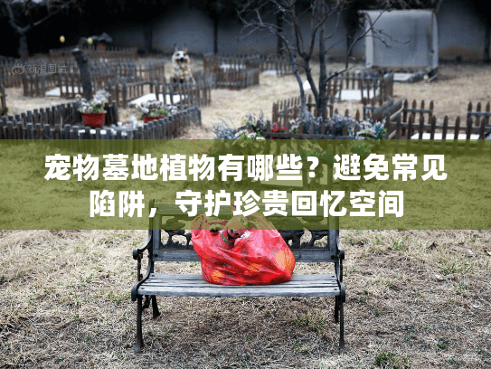 宠物墓地植物有哪些？避免常见陷阱，守护珍贵回忆空间