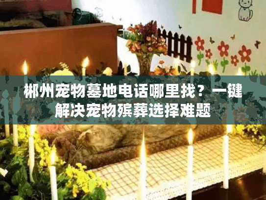 郴州宠物墓地电话哪里找？一键解决宠物殡葬选择难题