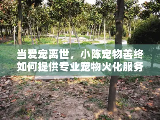 当爱宠离世,小陈宠物善终如何提供专业宠物火化服务? 当爱宠离世,小陈宠物善终如何提供专业宠物火化服务?