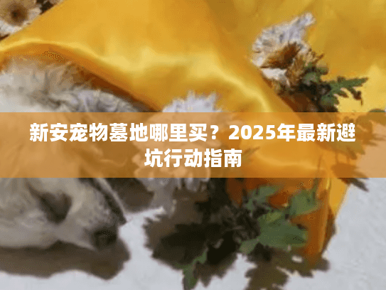 新安宠物墓地哪里买？2025年最新避坑行动指南