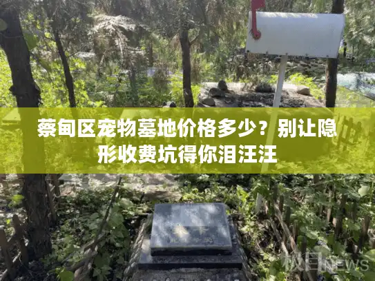 蔡甸区宠物墓地价格多少？别让隐形收费坑得你泪汪汪