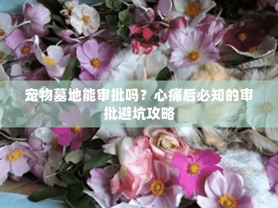宠物墓地能审批吗?心痛后必知的审批避坑攻略 宠物墓地能审批吗?心痛后必知的审批避坑攻略