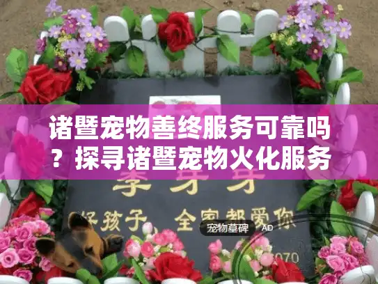 诸暨宠物善终服务可靠吗？探寻诸暨宠物火化服务的安心选项