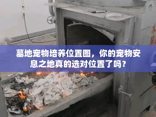 墓地宠物培养位置图，你的宠物安息之地真的选对位置了吗？