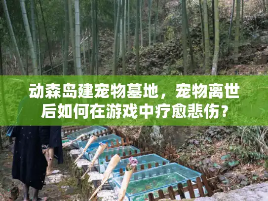 动森岛建宠物墓地，宠物离世后如何在游戏中疗愈悲伤？