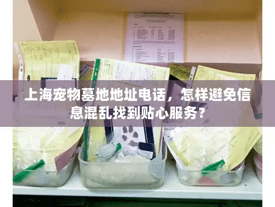 上海宠物墓地地址电话，怎样避免信息混乱找到贴心服务？
