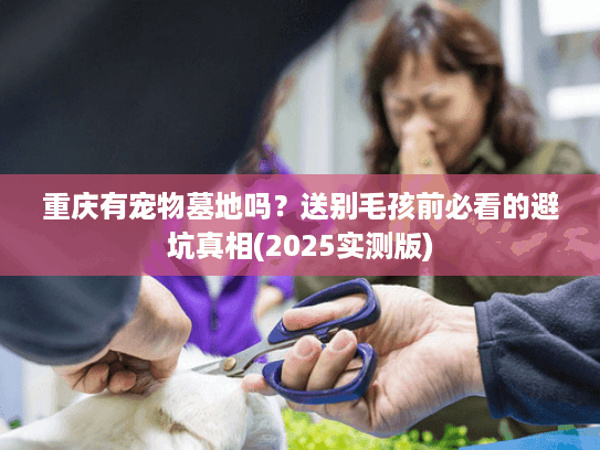 重庆有宠物墓地吗？送别毛孩前必看的避坑真相(2025实测版)