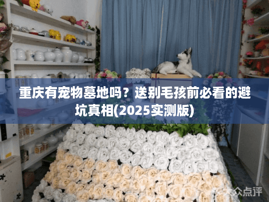 重庆有宠物墓地吗？送别毛孩前必看的避坑真相(2025实测版)