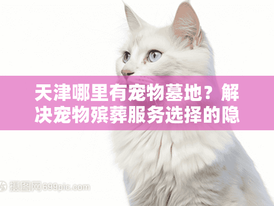 天津哪里有宠物墓地？解决宠物殡葬服务选择的隐藏痛点