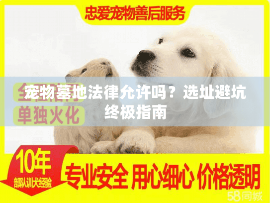 宠物墓地法律允许吗?选址避坑终极指南 宠物墓地法律允许吗?选址避坑终极指南
