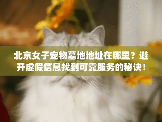 北京女子宠物墓地地址在哪里？避开虚假信息找到可靠服务的秘诀！
