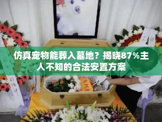 仿真宠物能葬入墓地?揭晓87%主人不知的合法安置方案 仿真宠物能葬入墓地?揭晓87%主人不知的合法安置方案