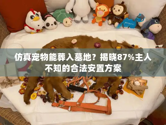 仿真宠物能葬入墓地?揭晓87%主人不知的合法安置方案 仿真宠物能葬入墓地?揭晓87%主人不知的合法安置方案